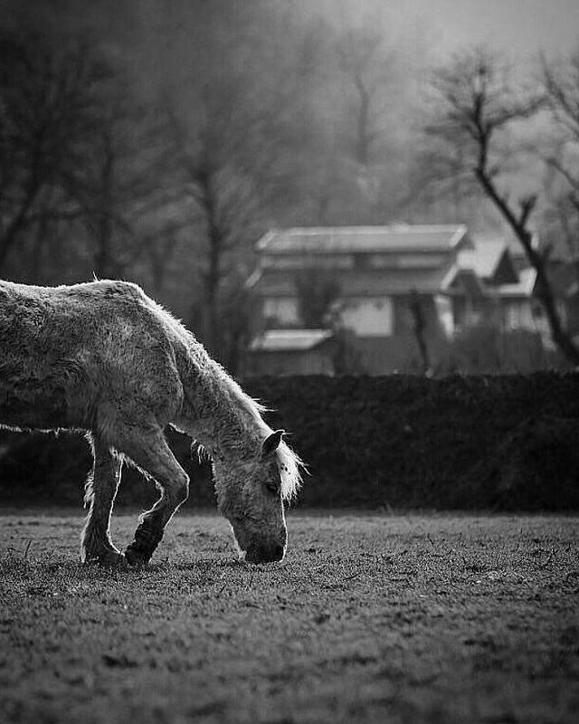 #hosseinmehrzad, hosseinmehrzad, #man, #cloudly, #bnw, #fine_art, #sky, #cloud, #mehrzad_photo, #hossein_mehrzad, #black_and_white, #b&w, #editing, #photoshop, #creative, #photo_art, #digital, #mehrzad, #photography, #creative_art, #consept_art, #freedom, Good Foodphoto preview
