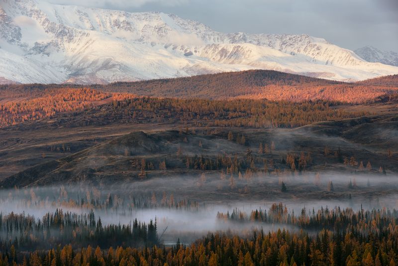 утренний туман в Курайской степи photo preview