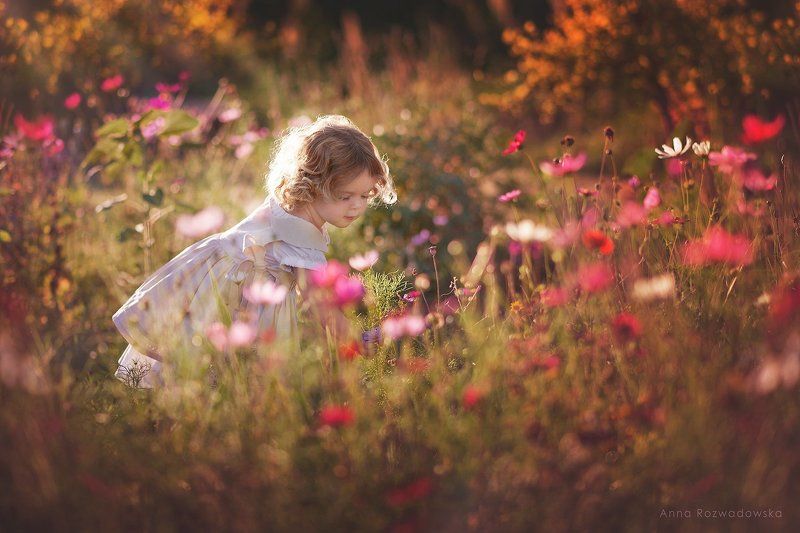 garden, girl, meadow, vintage, Barbaraphoto preview