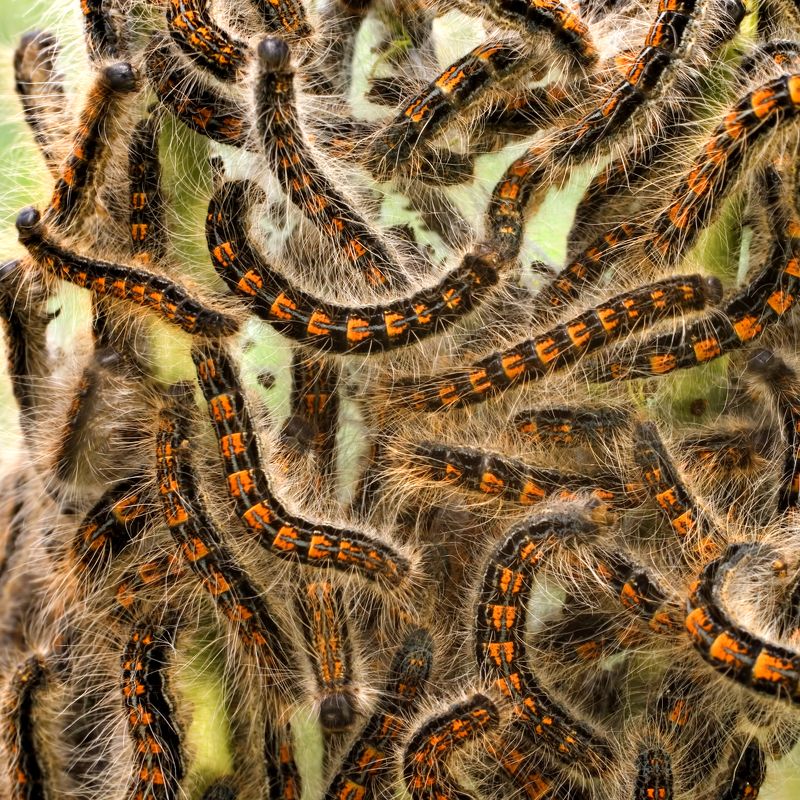 Трафикphoto preview