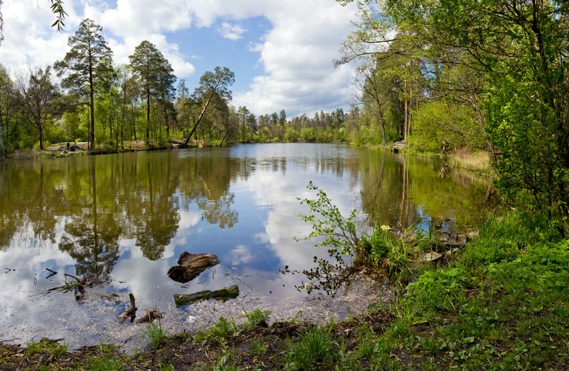 Пуща...photo preview