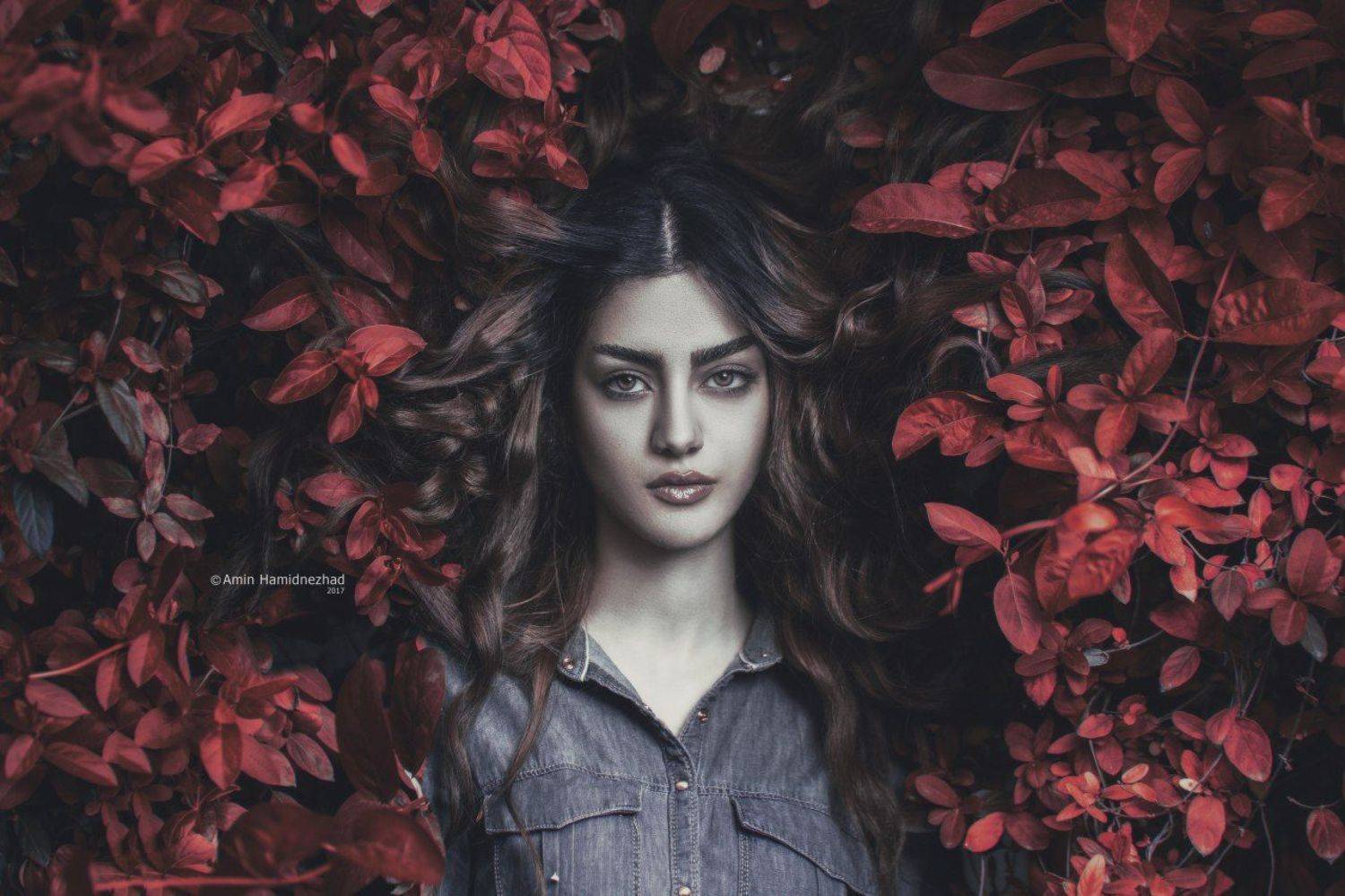 #aminhamidnezhad, amin hamidnezhad