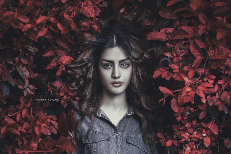 #aminhamidnezhad Nilophoto preview