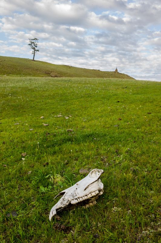 Монголия ***photo preview