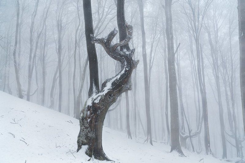 Волшебная гораphoto preview