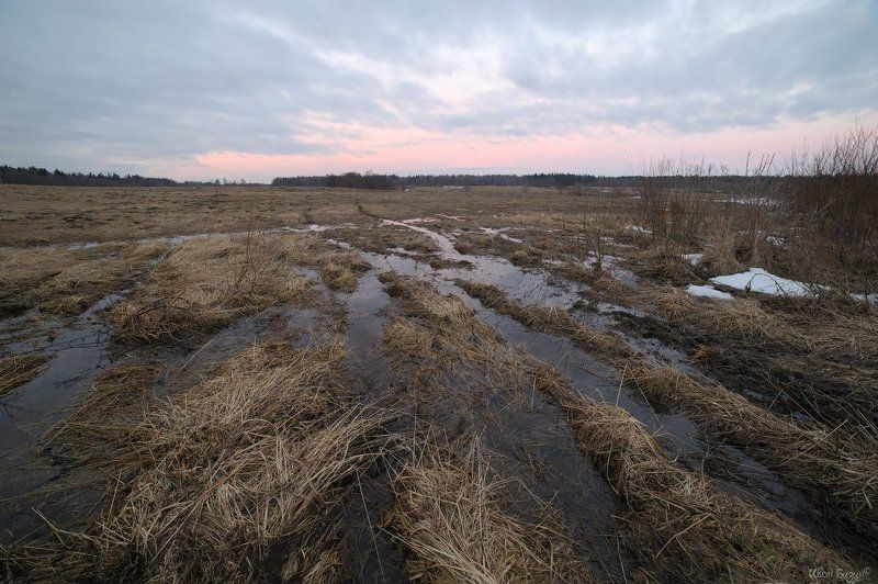 поле, весна, лужа, закат Полеphoto preview