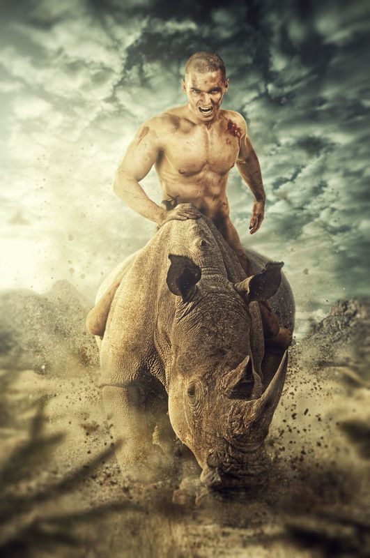 Носорогphoto preview