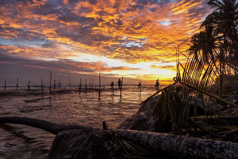 шри-ланка, закат, остров, окена, рыбаки, облака, небо, солнце, Вечерний клевphoto preview