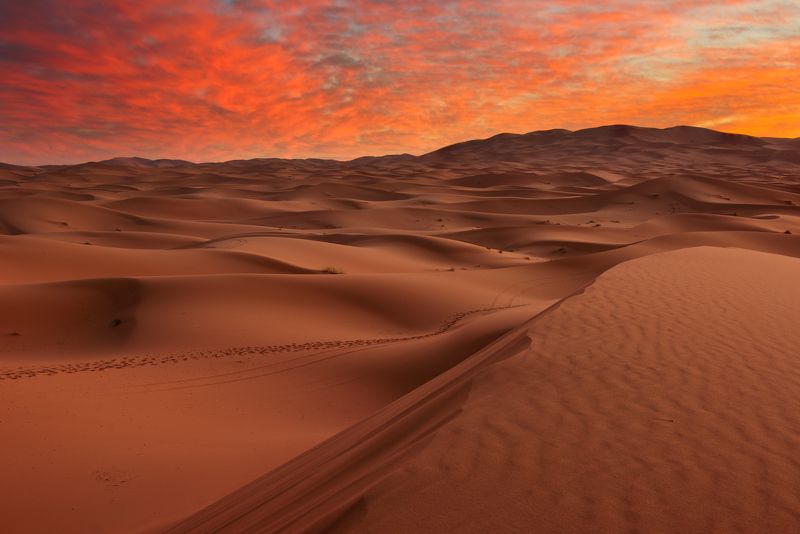 Рассвет в Сахареphoto preview