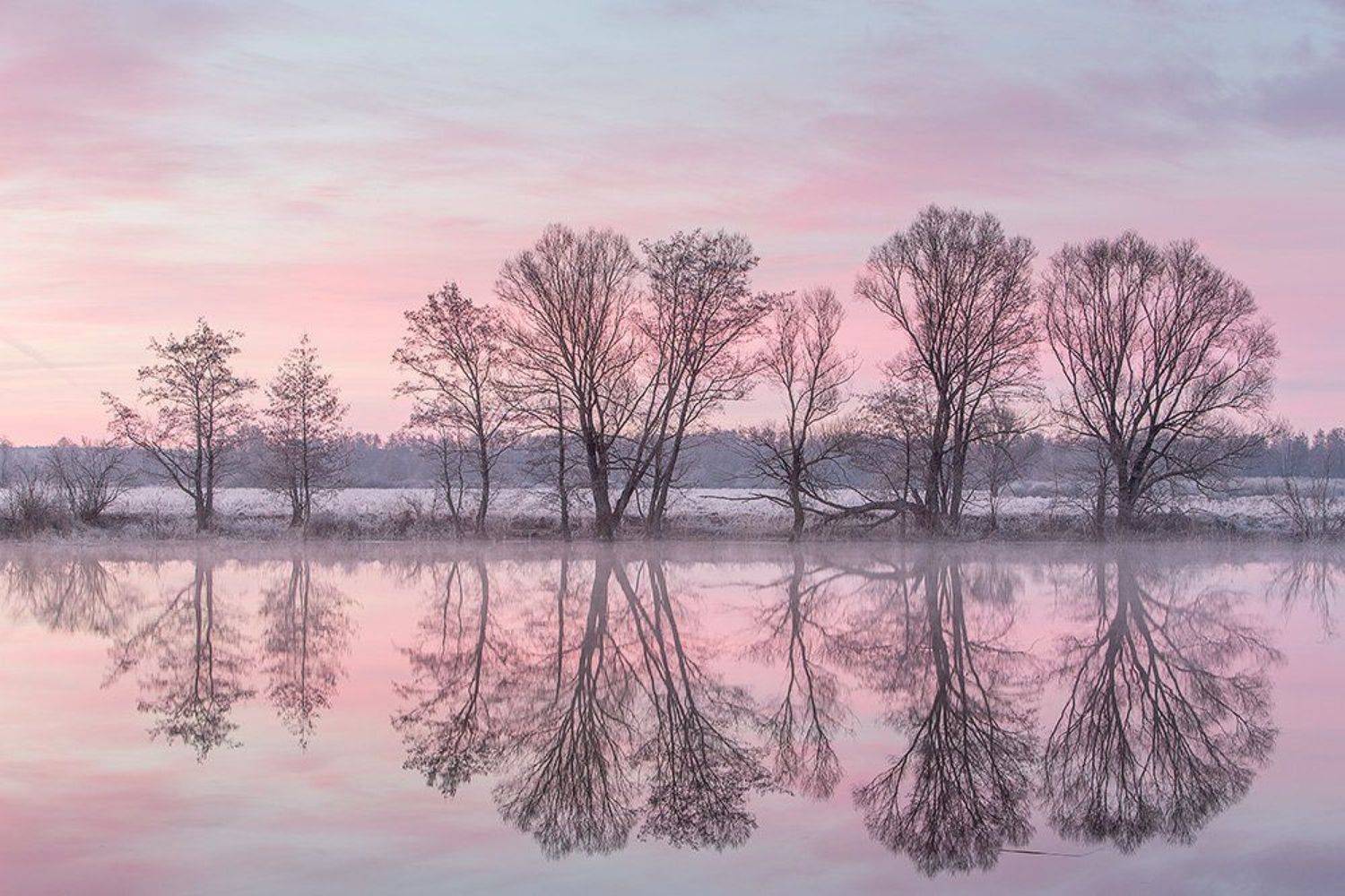 , Юрий Сорокин