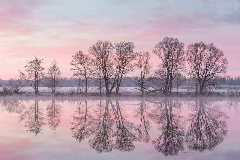 Нежное утро.photo preview