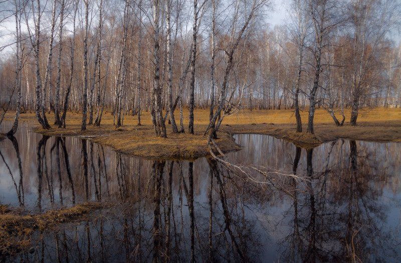 Веснаphoto preview