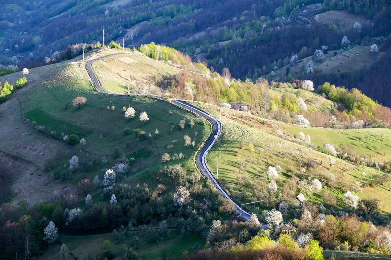 spring,colors,nature,romania,road, The colors of naturephoto preview