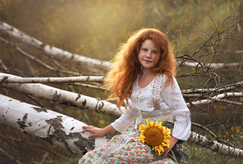 Подсолнух.photo preview