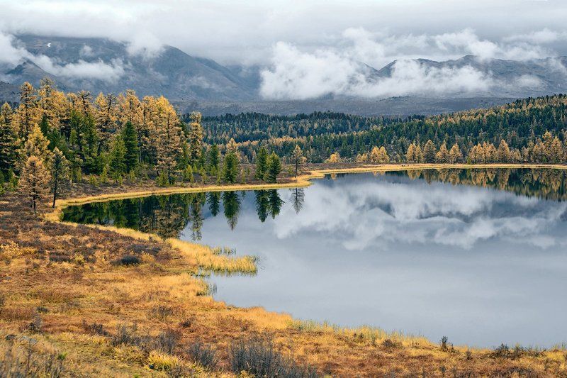 лиственницы, осень, облака, отражения, горный алтай, озеро киделю Киделю, в ожидании света…photo preview