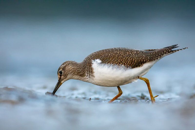 ... фото превью