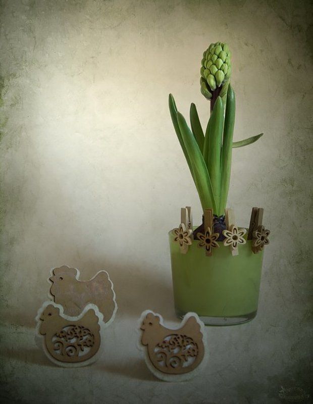 Cztery pory roku - Wiosnaphoto preview