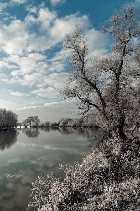 река кубань, заморозки, темрюк, ноябрь, таманский полуостров Ноябрьские заморозки 2011photo preview