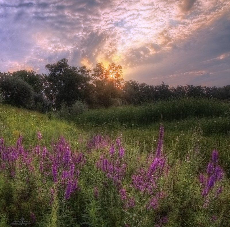 россия, волгоград Теплое утроphoto preview