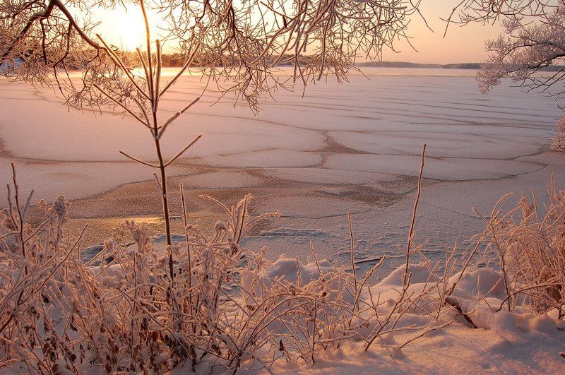 Розовые сныphoto preview