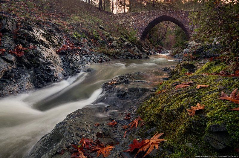 Осень, Природа, Водопад, Лес, Река, Вода, Пейзаж, На открытом воздухе, Дерево, Лист, Падение, Красота, Текущая вода, Без людей, Зеленый Цвет, зеленый, золотой , Мост Элиас, Троодос, Кипр  Elias bridgephoto preview