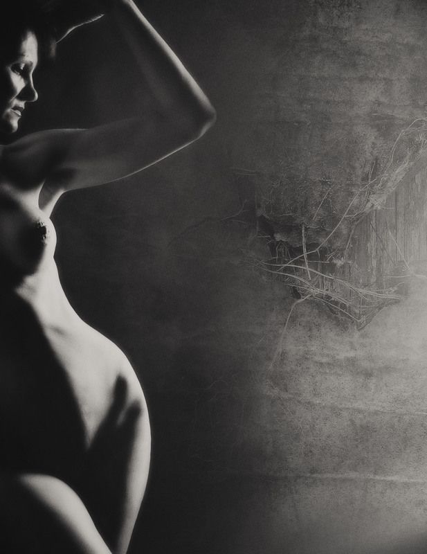 Line and shapephoto preview