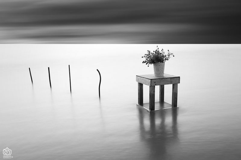 Pot Of Flowers And Seaphoto preview