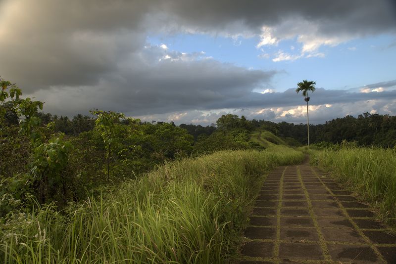 Тропа Художниковphoto preview