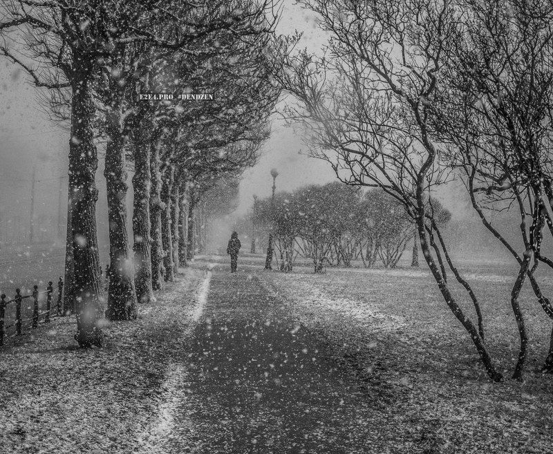 Весенний Петербургphoto preview