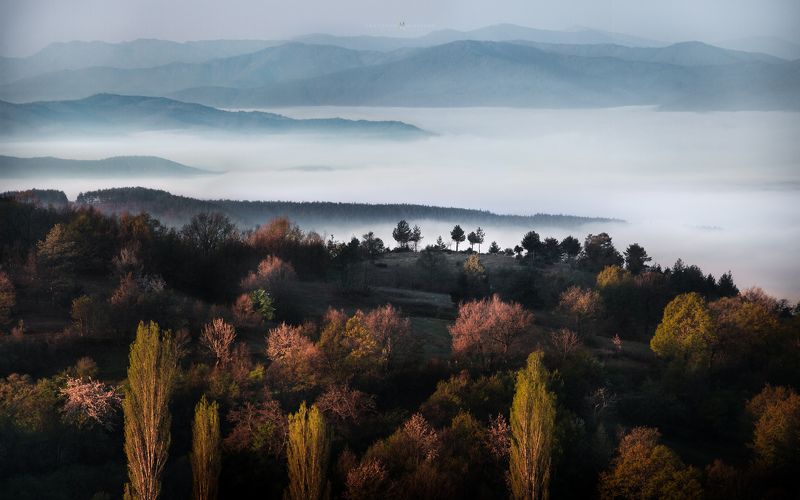 landscape, mist, fog, rain, sunrise, pirin, bulgaria, mountain, spring, light, haze, panorama, trees, forrest, hills Spring Mists in Pirinphoto preview