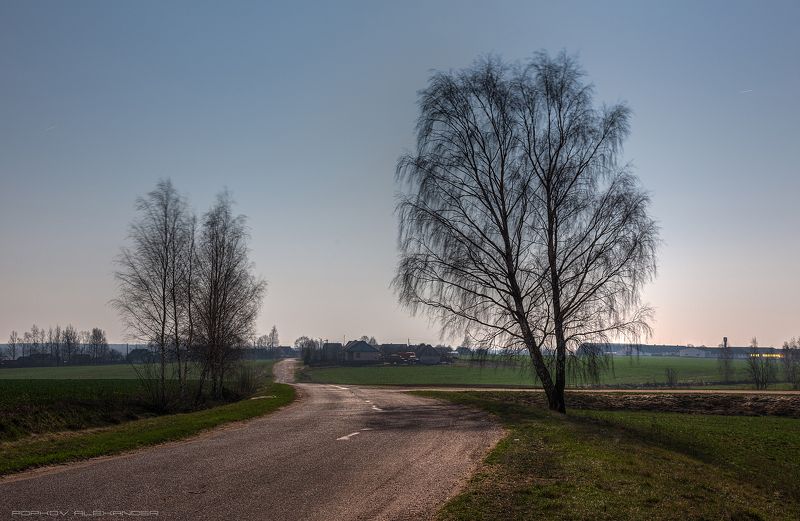 ночь пейзаж никон берёза тон весна луна Ночной пейзажphoto preview