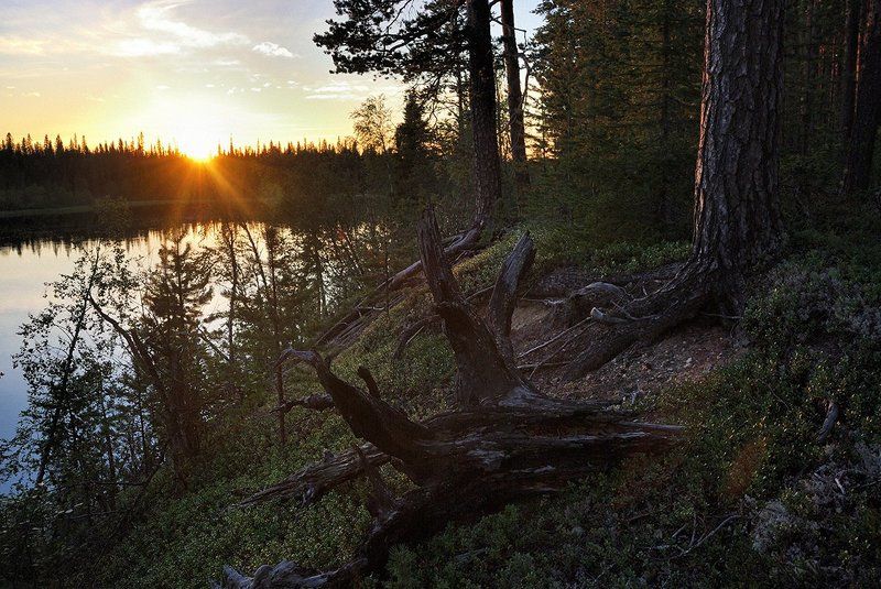 кольский, умба, закат, река, сосна Закат на Умбеphoto preview