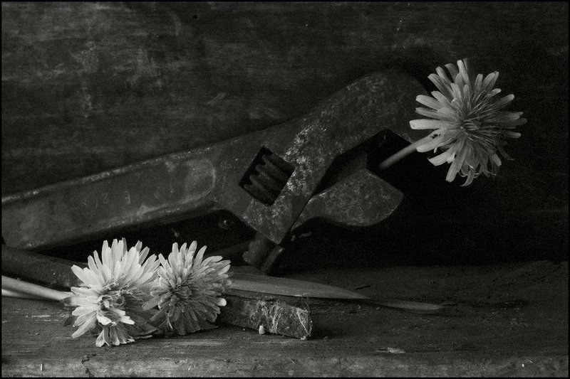 Про веснуphoto preview