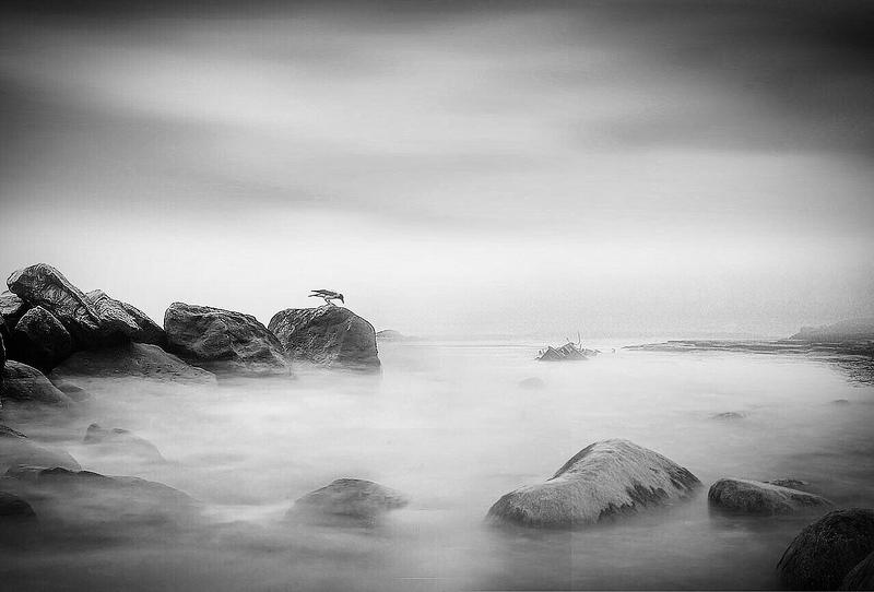 #man #cloudly #bnw #fine_art #sky #cloud #mehrzad_photo #hossein_mehrzad #black_and_white #b&w #editing #photoshop #creative #photo_art #digital #mehrzad #photography #creative_art #consept_art #freedom #woman #blood #pesonal #crush Pending Bearphoto preview