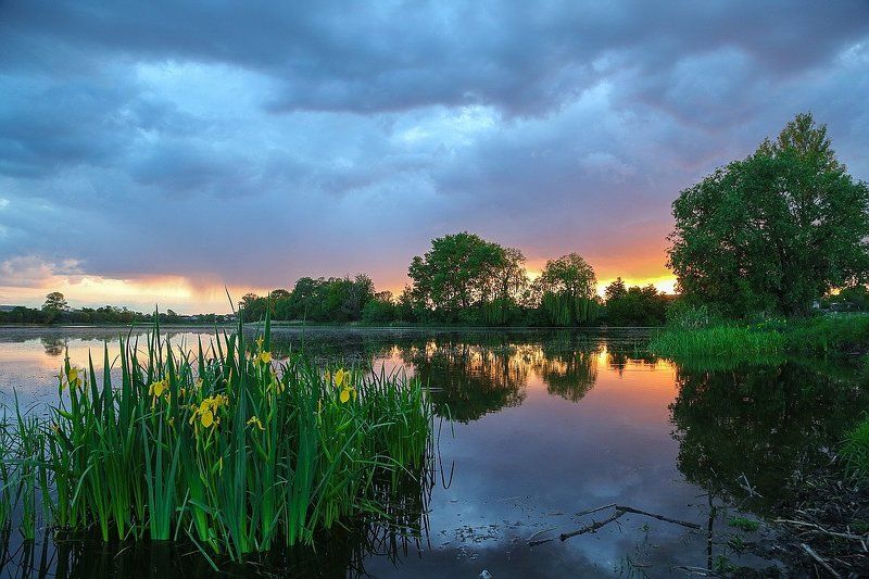 Родные краяphoto preview