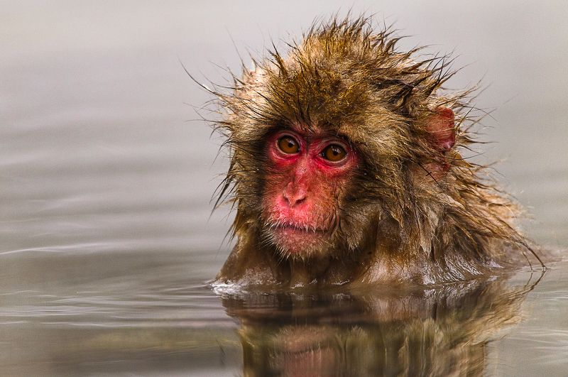 Что-то приунылphoto preview