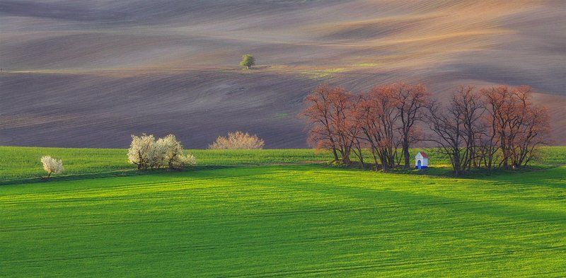 moravia, spring, april а где-то весна..photo preview