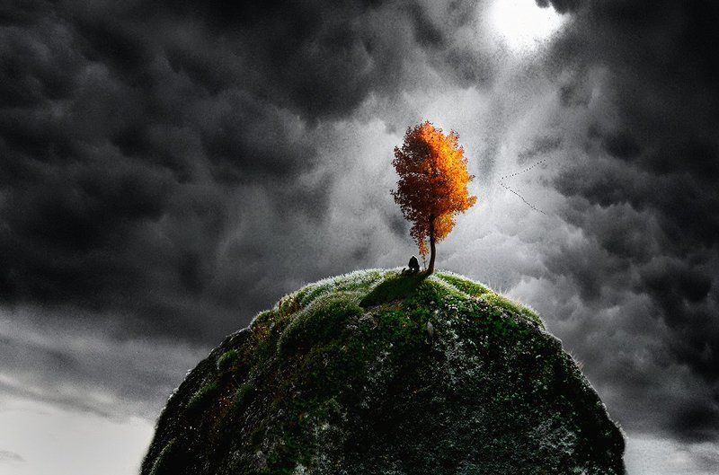 wake,macro,landscape,sony,mood,time, Tempus ©photo preview