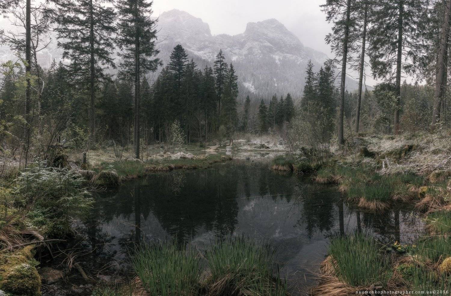 The gray morning on the lake.. Автор: Александр Науменко европа,германия,хинтерзее,озеро,осень,бавария,рамзау,путешествия,альпийский,альпы,удивительные,австрия,баварская,красивый,большой,синий,прозрачный,облака,европейский,лес,немецкий,зеленый,остров,земля,пейзаж,величественный, Александр Науменко
