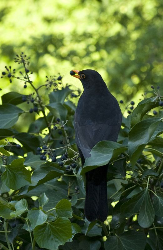 sans titre #6photo preview