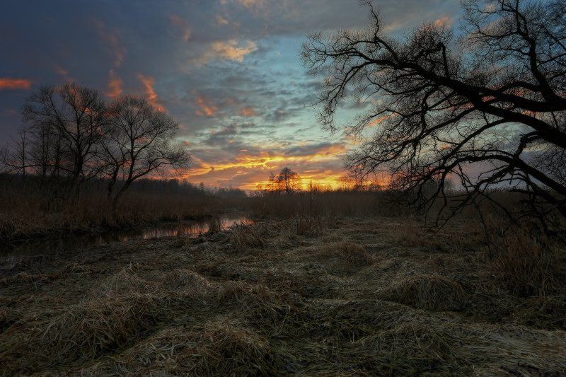 весна,небо,вечер,закат photo preview