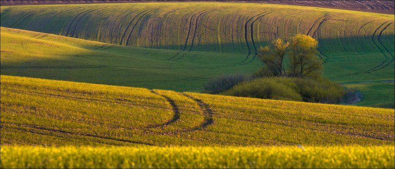 Линии Апреля...photo preview