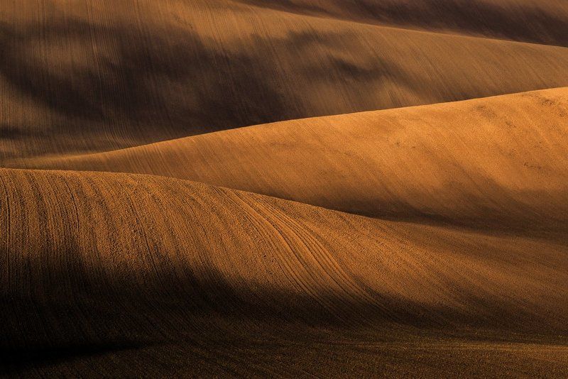 south moravia, czech republic, fields, morning, spring SOUTH MORAVIA - CZECH REPUBLICphoto preview