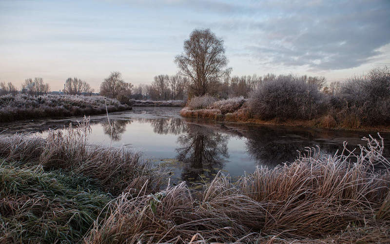 Утренние заморозки.photo preview