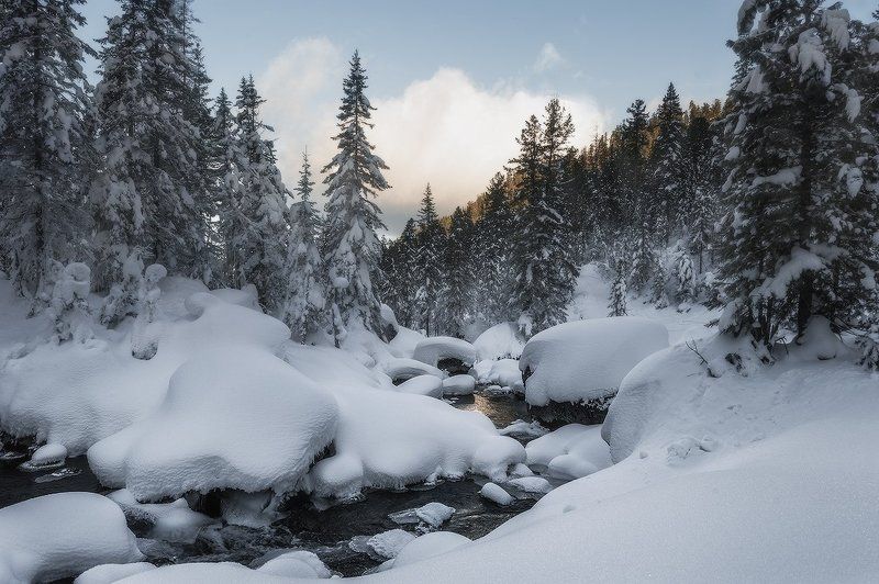 зима снег сугробы Воспоминания о зиме...photo preview