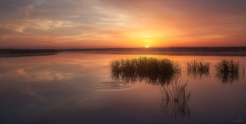 рассвет, озеро, волгоград Не дышатьphoto preview