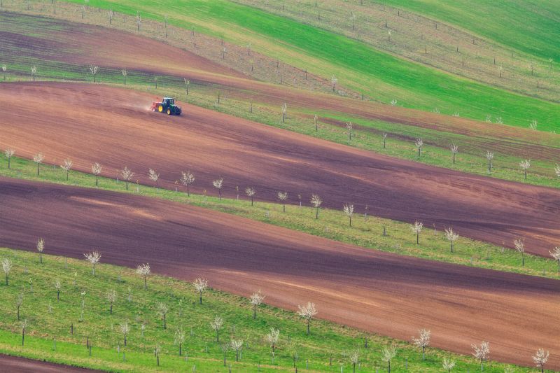 moravia, spring, april геометрия апреляphoto preview