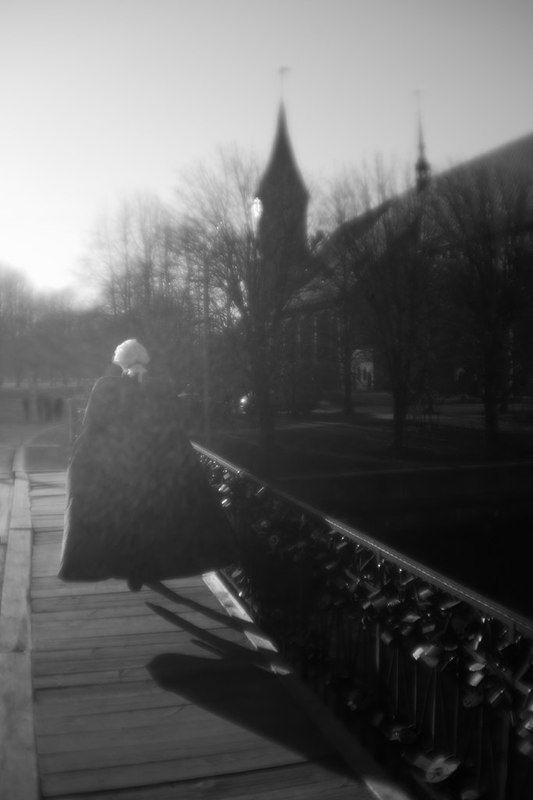 калининград, остров канта ***photo preview