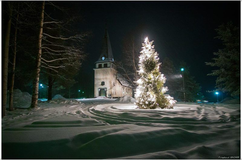 Маленькой елочке ...photo preview