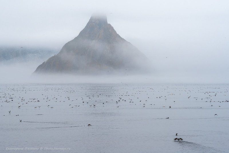 Призрачный островphoto preview